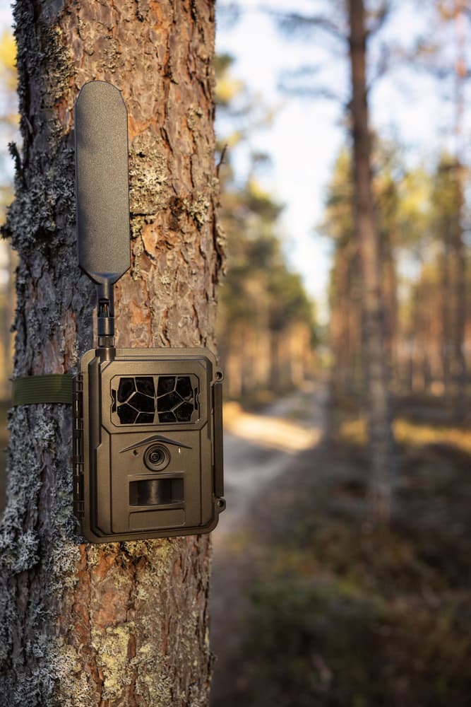E24 Global Trail Camera, view: 5