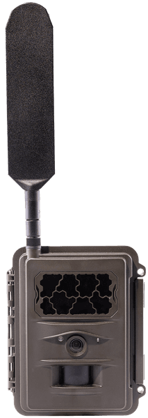 N24 Global Trail Camera, view: 0