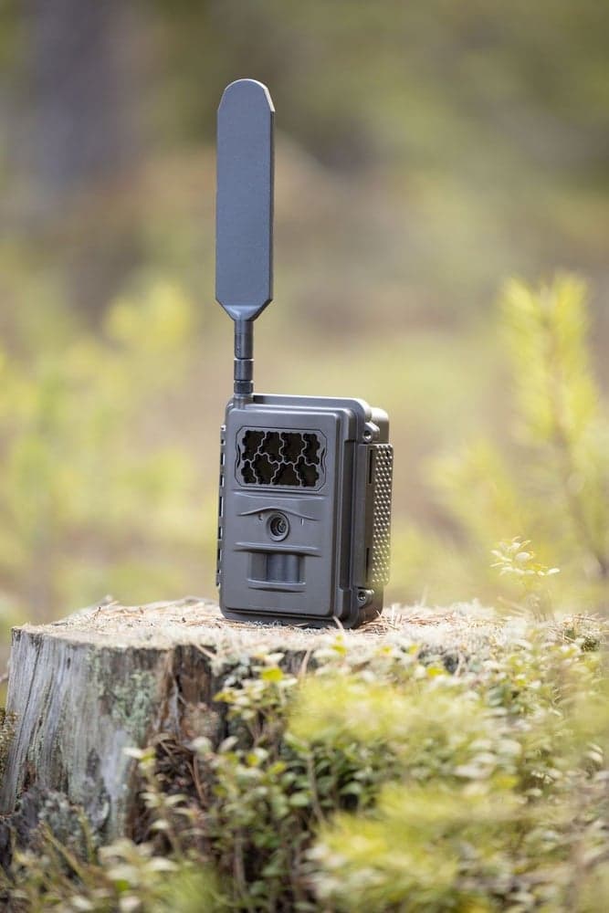 N24 Global Trail Camera, view: 3