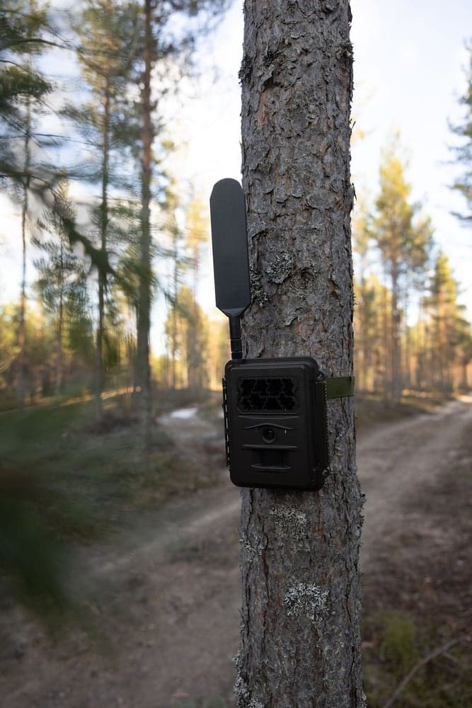 N24 Global Trail Camera, view: 4