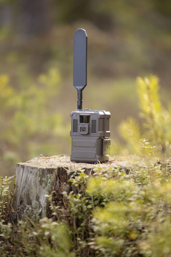 S22WA Global Trail Camera, view: 3