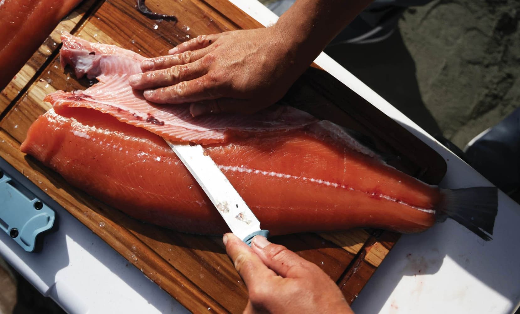 18010 Fishcrafter, view: 2