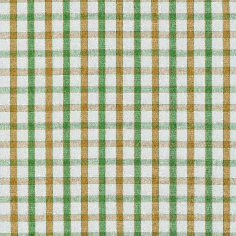 Wood Button Down Shirt Green & Haselnut Check, view: 1