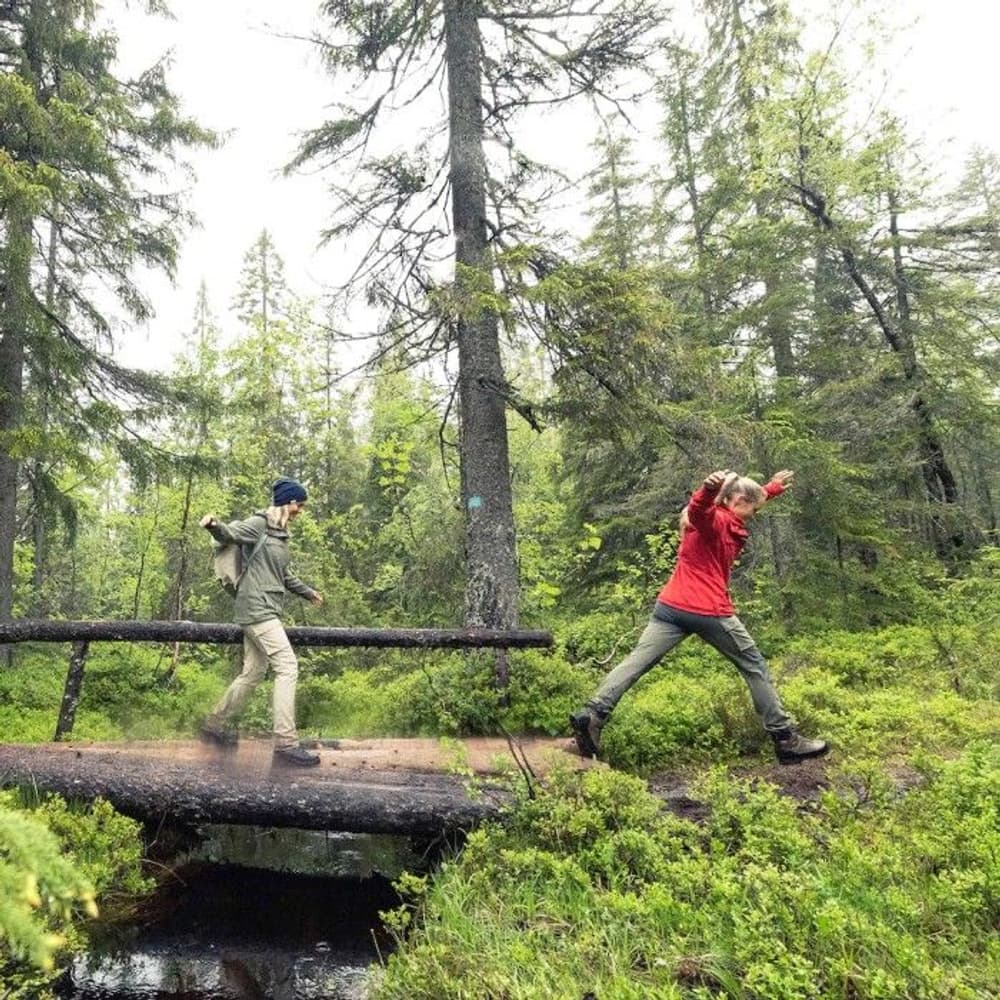 Bergans W's Nordmarka Hybrid Pants Green Mud / Solid Dark Grey, view: 3