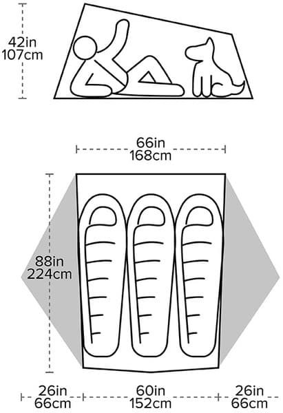 Tiger Wall UL3 Solution Dye, view: 3
