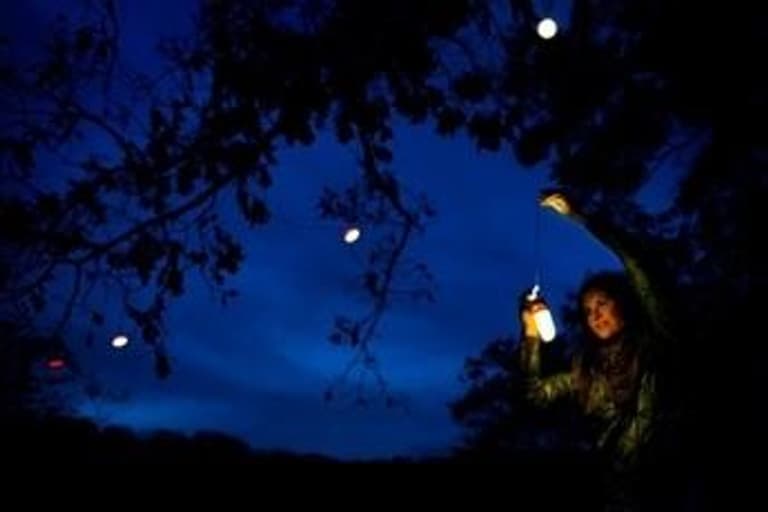 BioLite Sitelight, view: 5