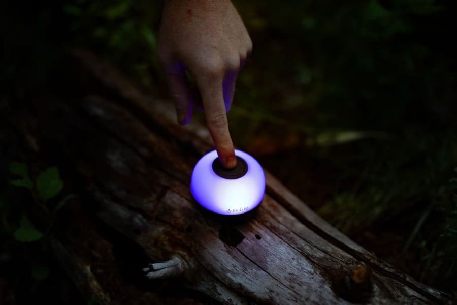 AlpenGlow Mini Lantern Black, view: 3