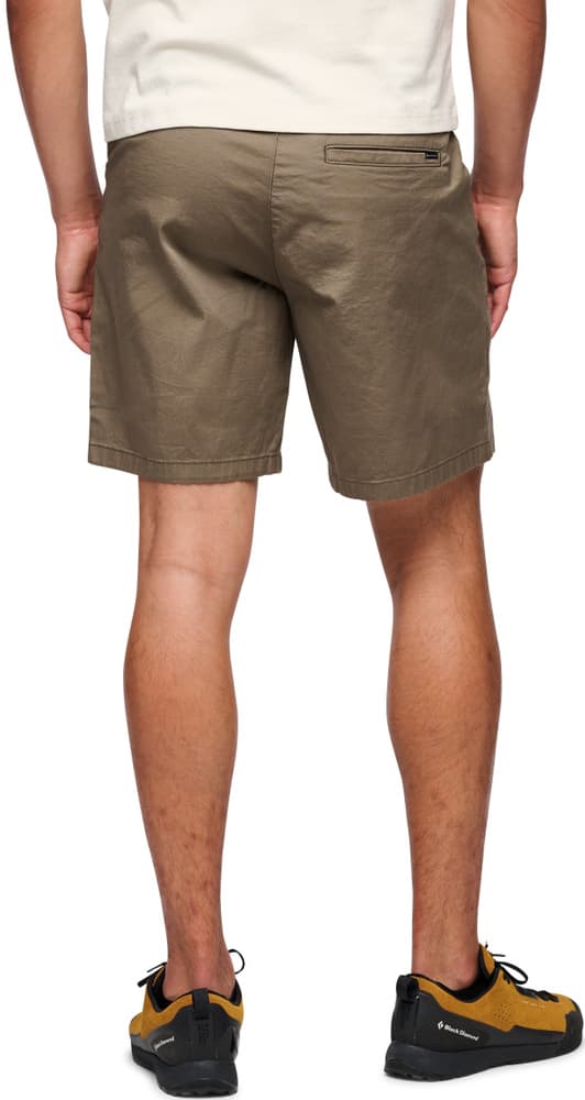 M's Notion Shorts Walnut, view: 3