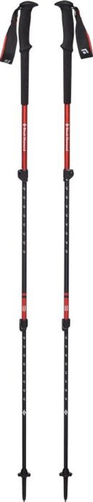 Trail Trek Poles Picante, view: 0