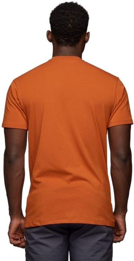 M's Vantastic Tee Desert Clay, view: 2