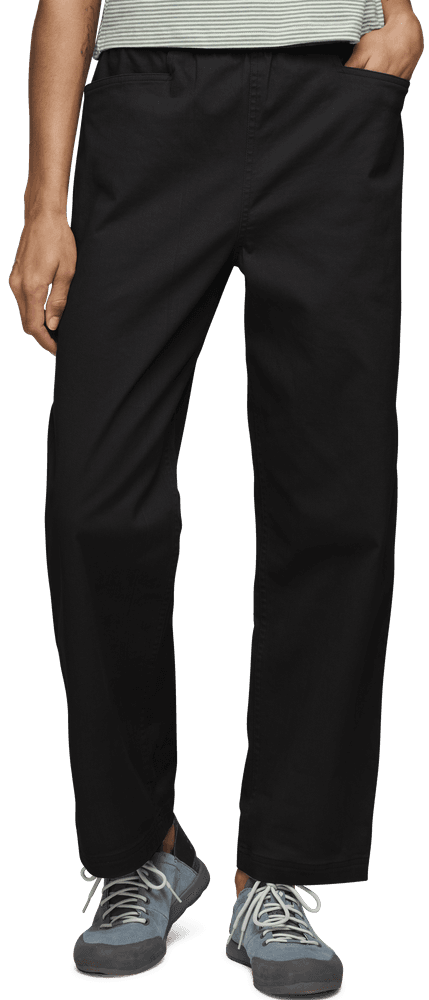 W's Dirtbag Pants Tundra, view: 1