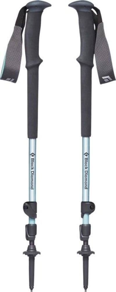 W's Trail Trek Poles Lake, view: 1