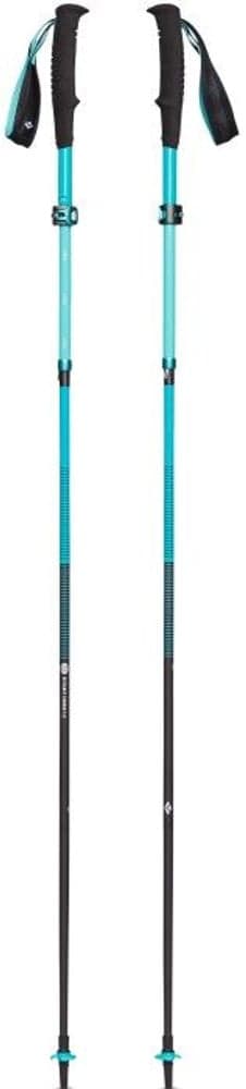 W's Distance FLZ Poles Dark Patina, view: 0