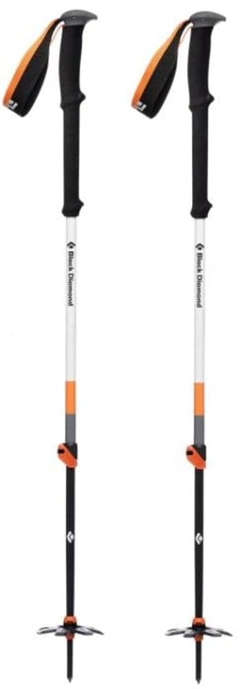 Expedition 2 Ski Poles, view: 0