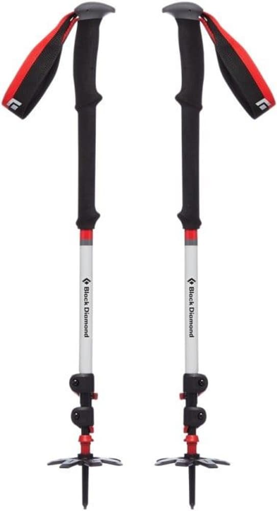Expedition 3 Ski Poles, view: 1