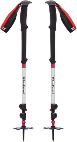 Expedition 3 Ski Poles, view: 1
