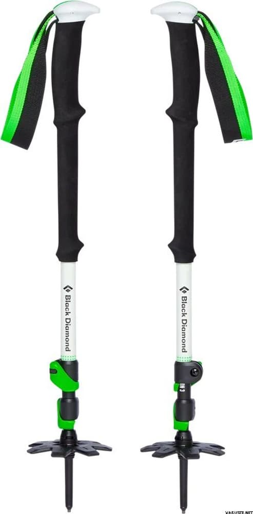 Expedition 3 Ski Poles, view: 0