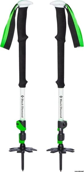 Expedition 3 Ski Poles, view: 0