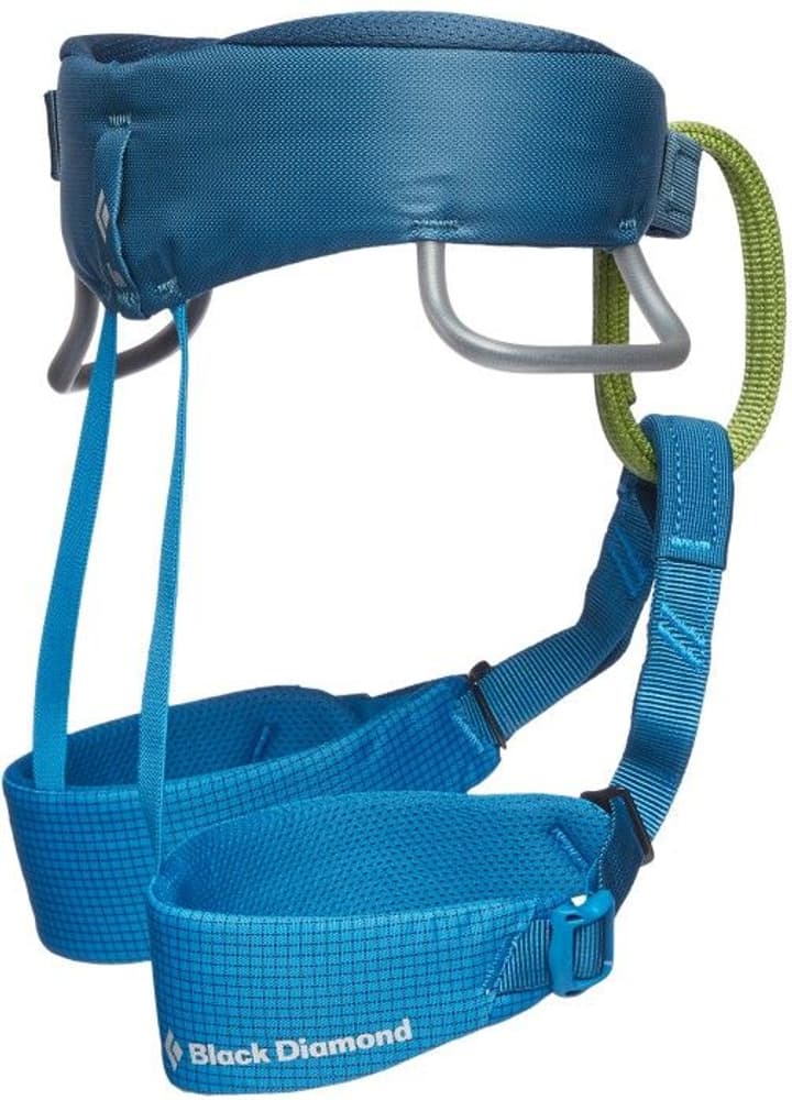 Kids Momentum Harness Kingfisher, view: 1