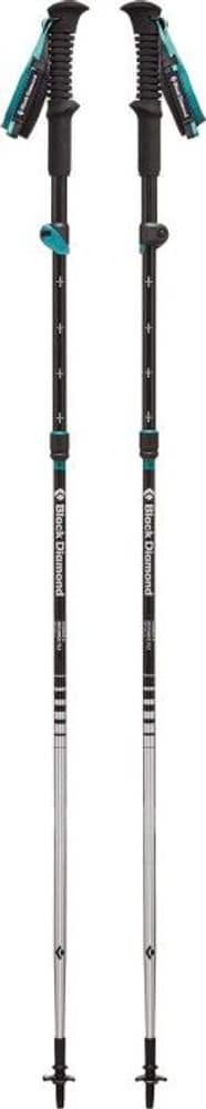 W's Distance FLZ Z-Poles, view: 0