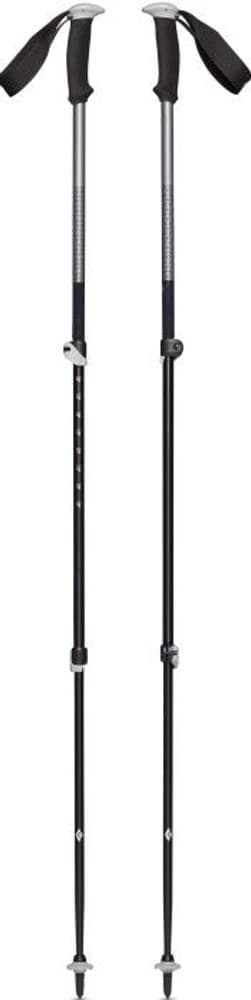 Trail Sport Trek Poles Granite, view: 1