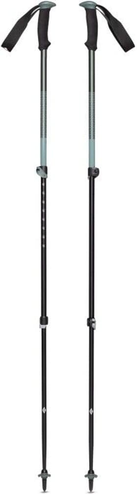 Trail Sport Trek Poles Laurel Green, view: 1
