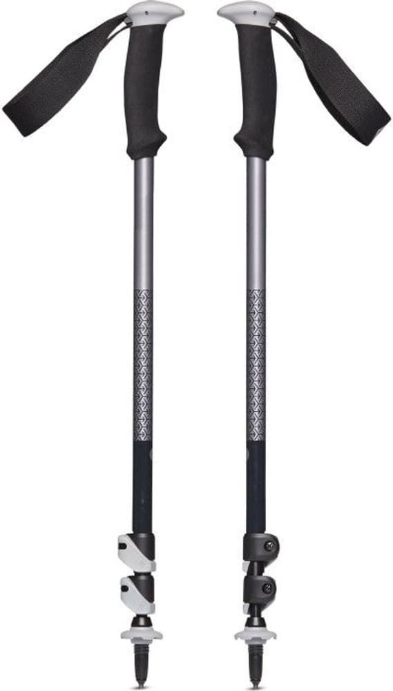 Trail Sport Trek Poles Granite, view: 0