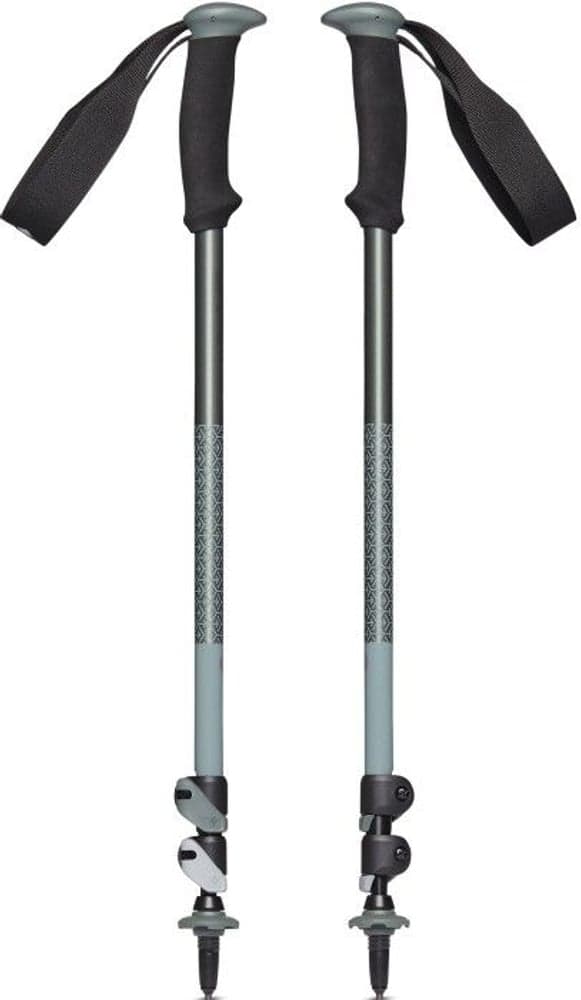 Trail Sport Trek Poles Laurel Green, view: 0