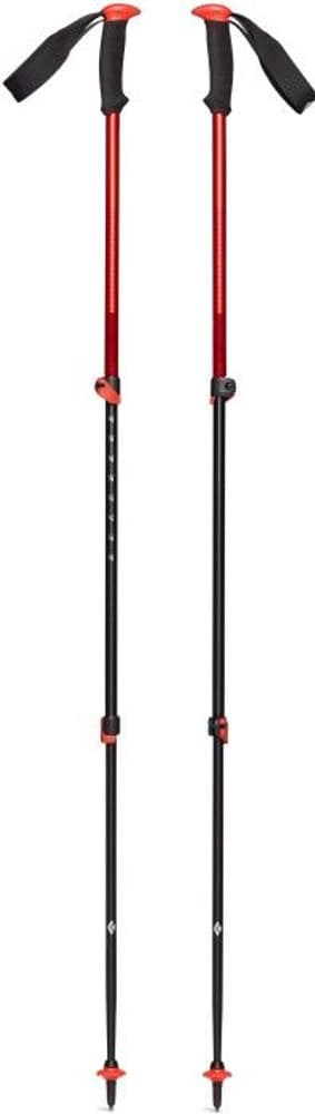 Trail Sport Trek Poles Octane, view: 1
