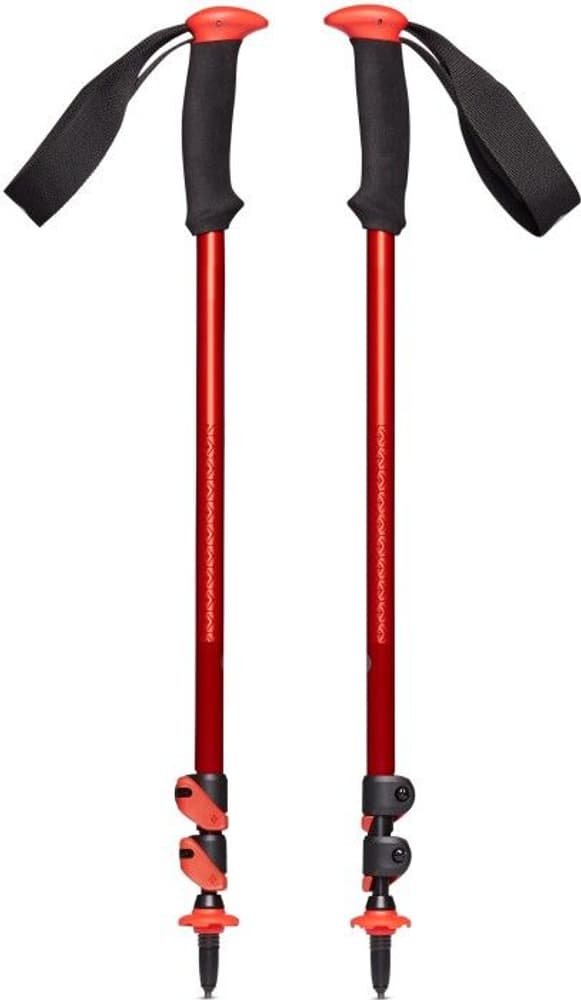 Trail Sport Trek Poles Octane, view: 0