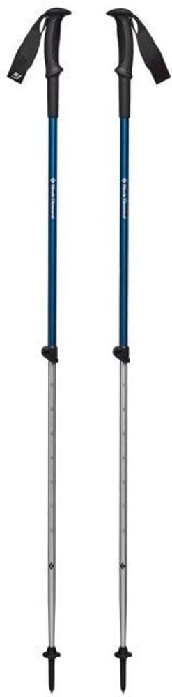 Trail Sport 2 Trek Poles Kingfisher, view: 0