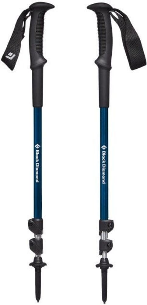 Trail Sport 3 Trek Poles Kingfisher, view: 0