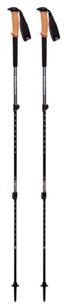 Trail Cork Trekking Poles Granite, view: 0