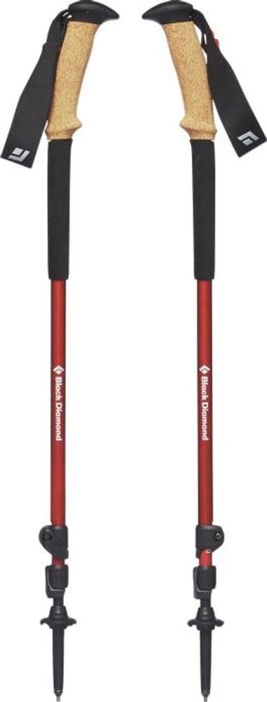 Trail Ergo Cork Trek Poles Picante, view: 1