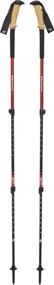 Trail Ergo Cork Trek Poles Picante, view: 0