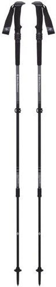 Trail Pro Shock Trek Poles Granite, view: 0