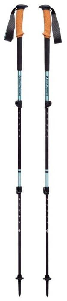 W's Trail Cork Trekking Poles Alpine Lake, view: 0