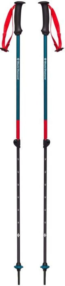 First Strike Trek Poles Fjord Blue, view: 1