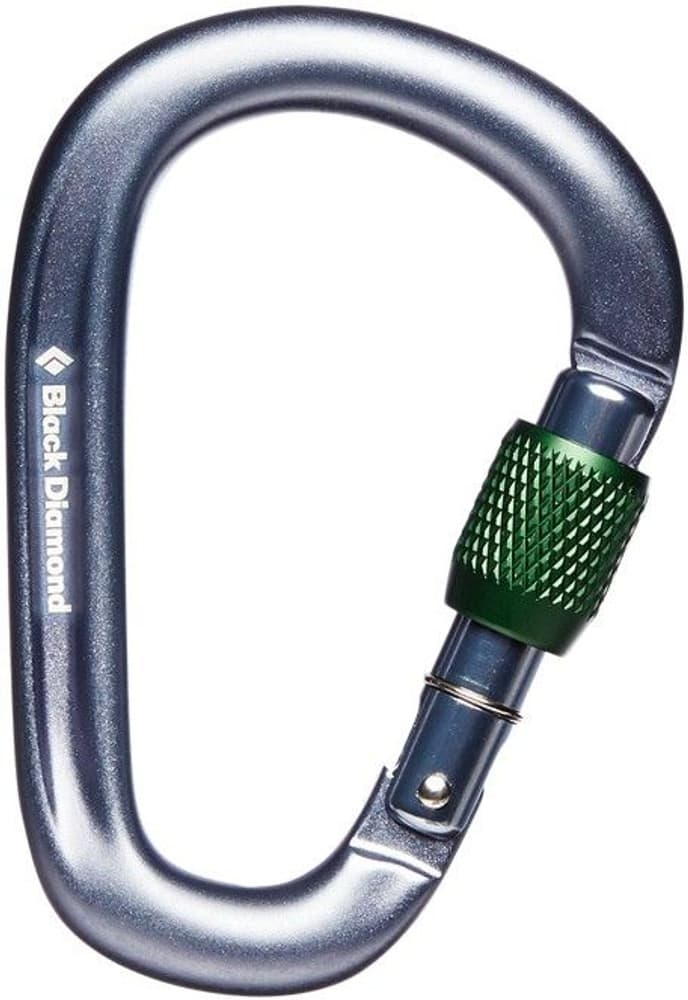 Pearlock Screwgate Carabiner Gray, view: 0