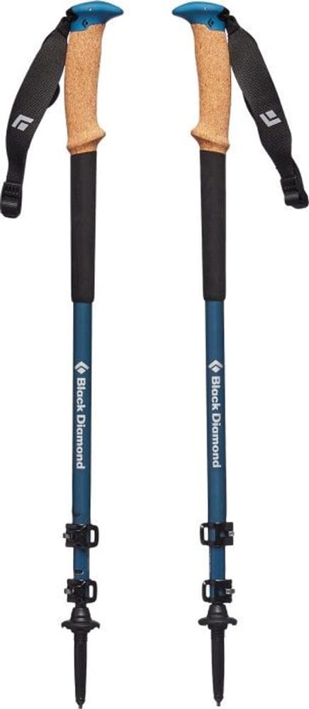 Alpine Carbon Cork WR Trekking Poles, view: 1