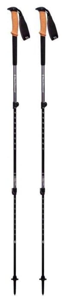 Trail Cork Trekking Poles Granite (Skadat handtag), view: 0