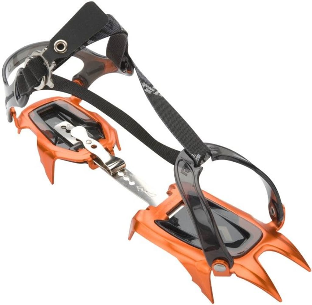 Neve Strap Strap, view: 0