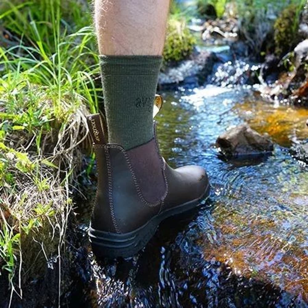 Darwin Jodhpurs Läder Dark Brown, view: 6