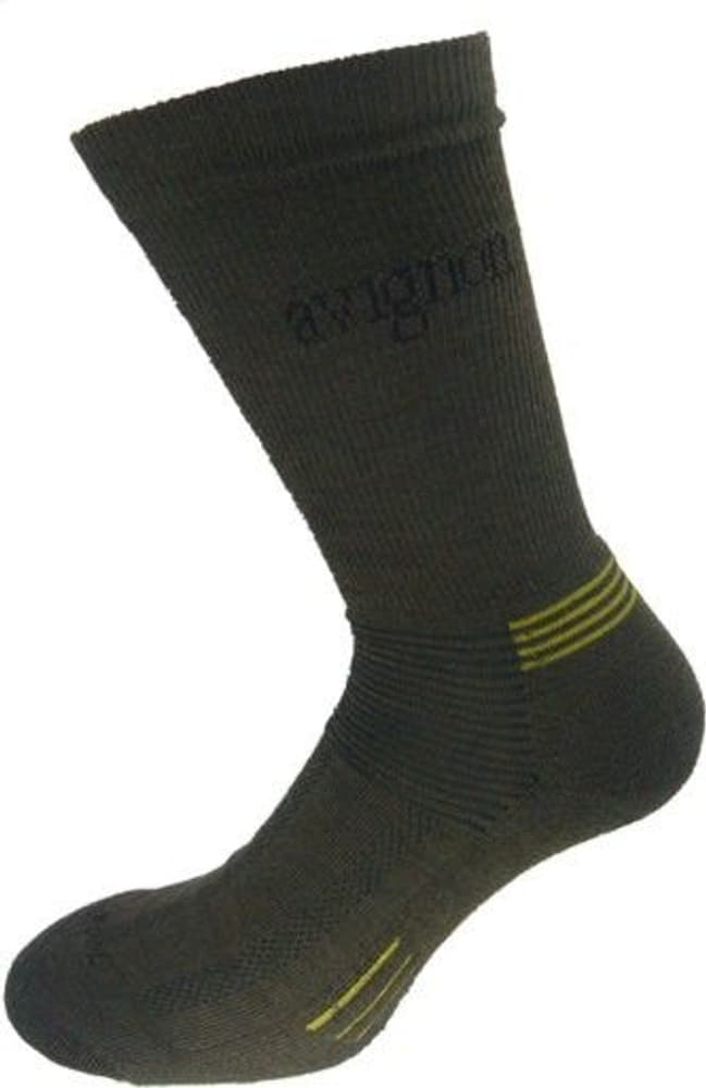 Terry Merinowool Hiking Sock Green, view: 0