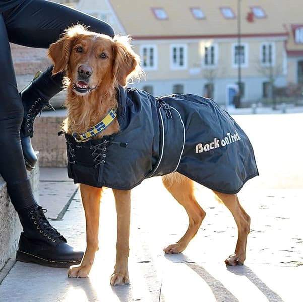 Hundtäcke 27-40 cm Svart, view: 1