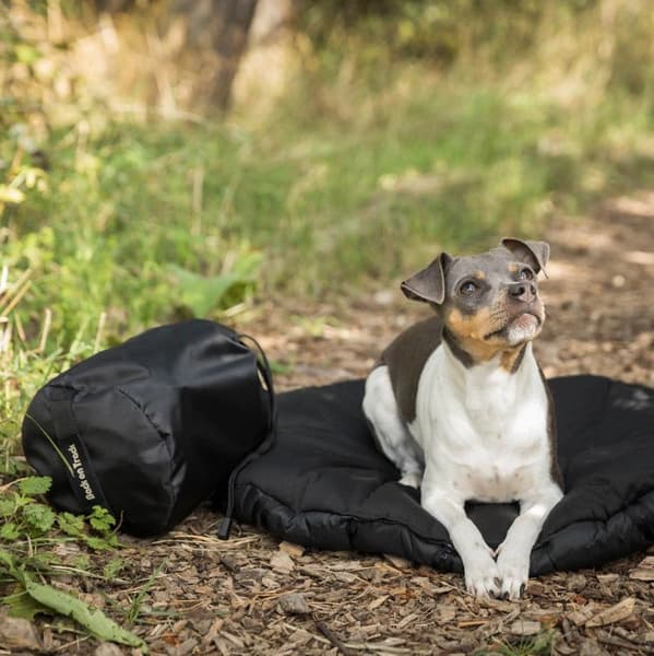 Hundbädd Oval 80x100 cm Svart, view: 0