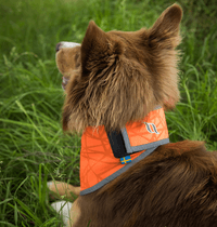 Draco Reflexbandana S-XL Orange - view: 3