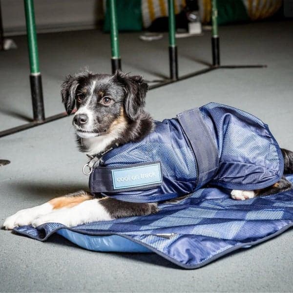 Cool on Track Kyltäcke 2.0 30 cm Blå, view: 1