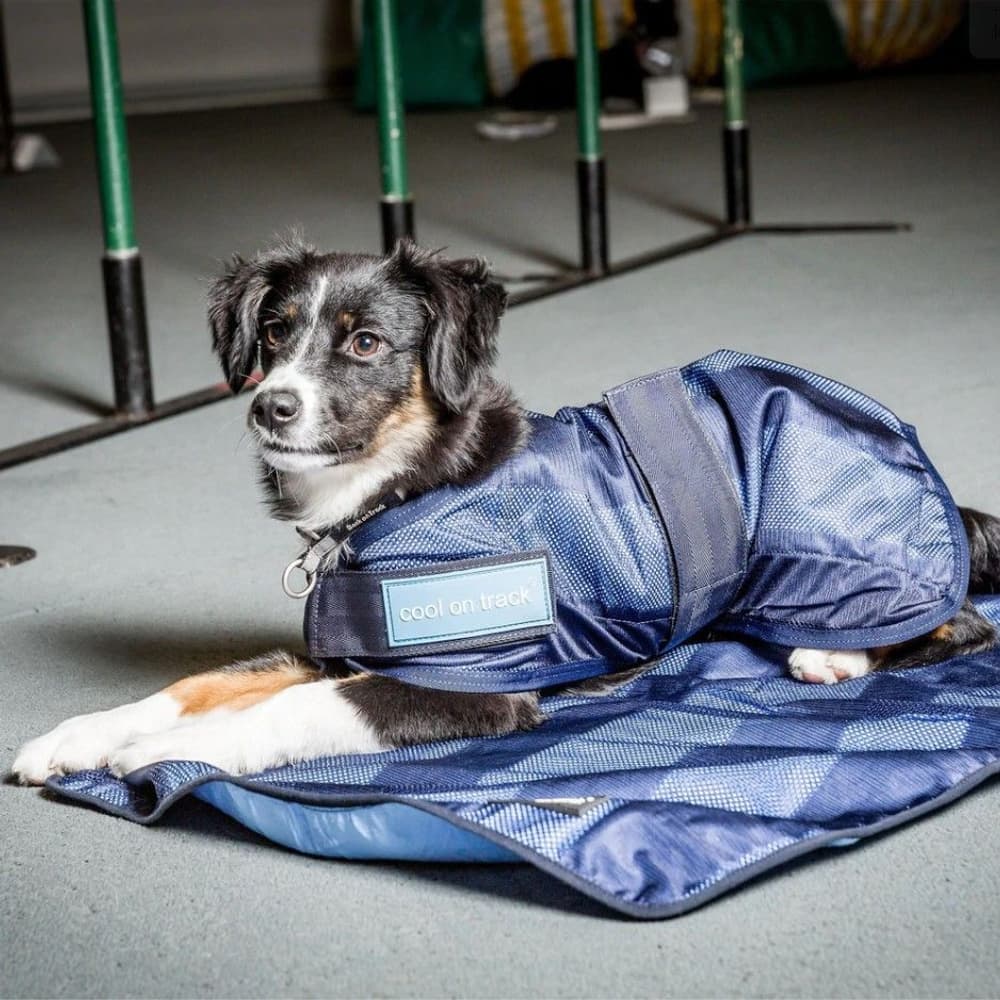 Cool on Track Kyltäcke 2.0 40 cm Blå, view: 1