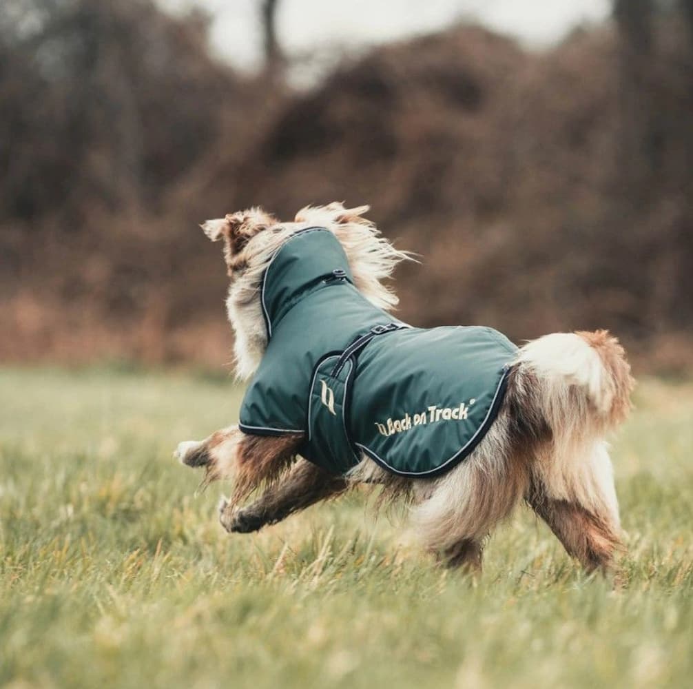 Hundtäcke Sunny Fodrat 70-80 cm Grön, view: 1